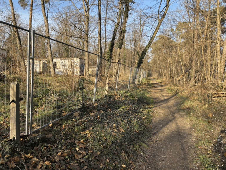 Investor plant 175 Wohneinheiten am Springeberg